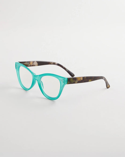 Chico's Teal Tortoise Readers